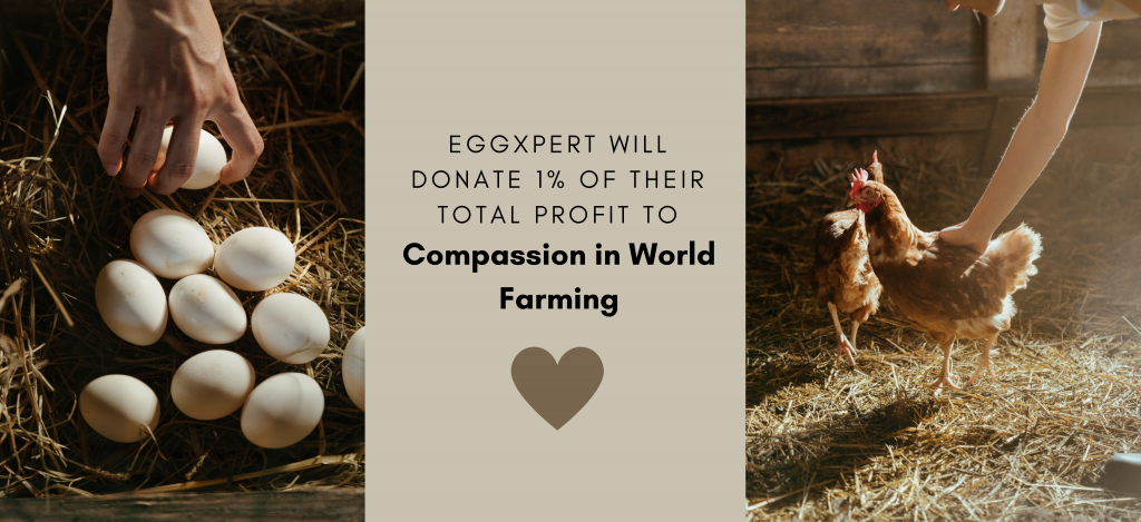 Let's Help Farm Animals! - EGGXPERT